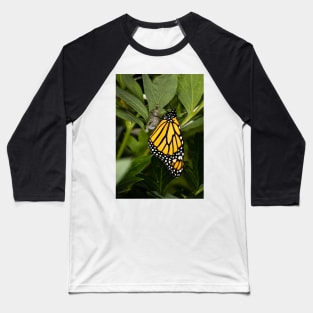 Monarch Butterfly 1 Baseball T-Shirt